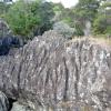 Waikere Boulders