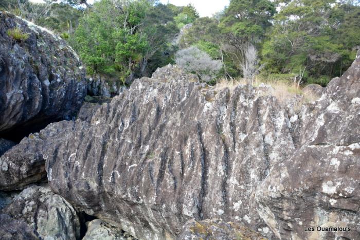 Waikere Boulders