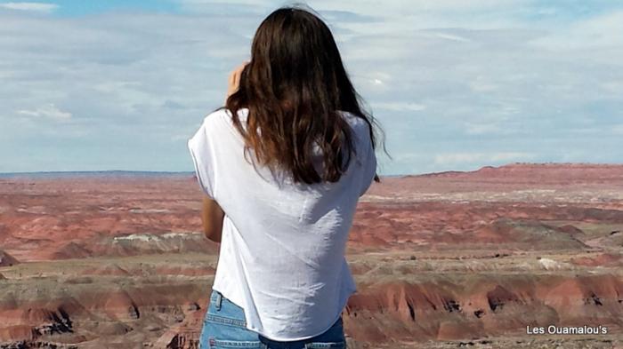 Painted Desert