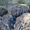 Waikere Boulders