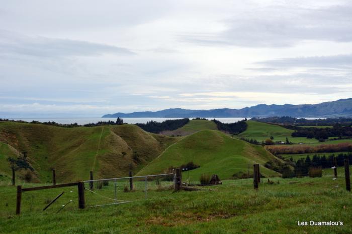 Waikoropupu Springs