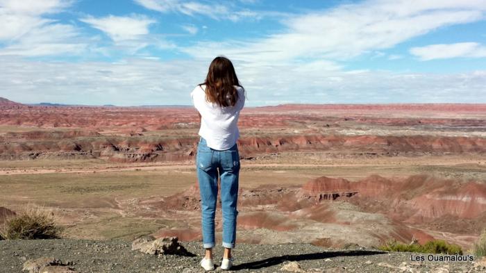 Painted Desert