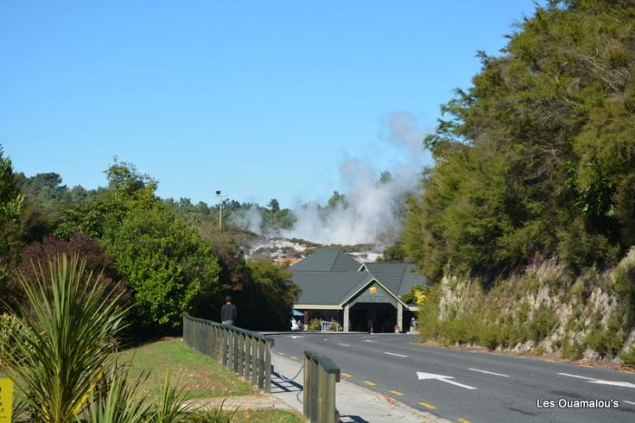 Rotorua