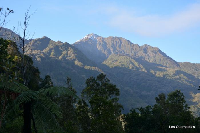 Franz Joseph Glacier