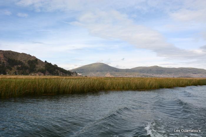 Sur le Lac Titicaca 