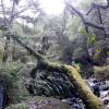 Waikere Boulders