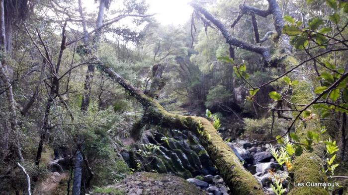 Waikere Boulders