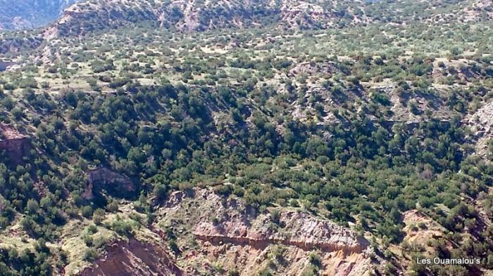 Palo Duro Canyon