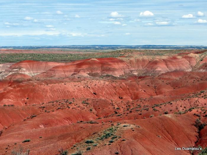 Painted Desert