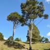 Waikere Boulders