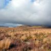 Tongariro National Park