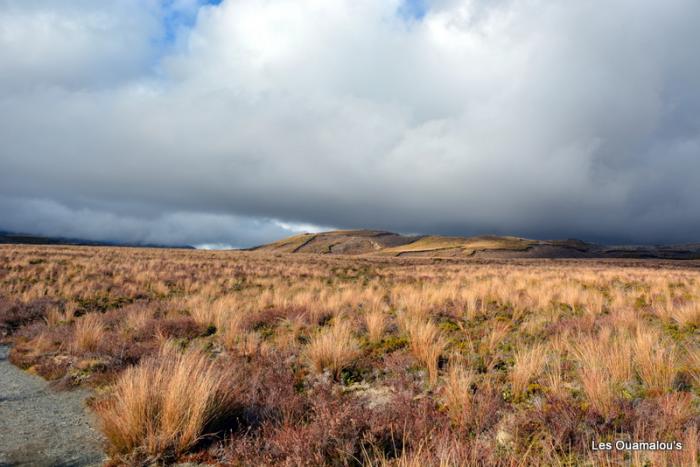 Tongariro National Park