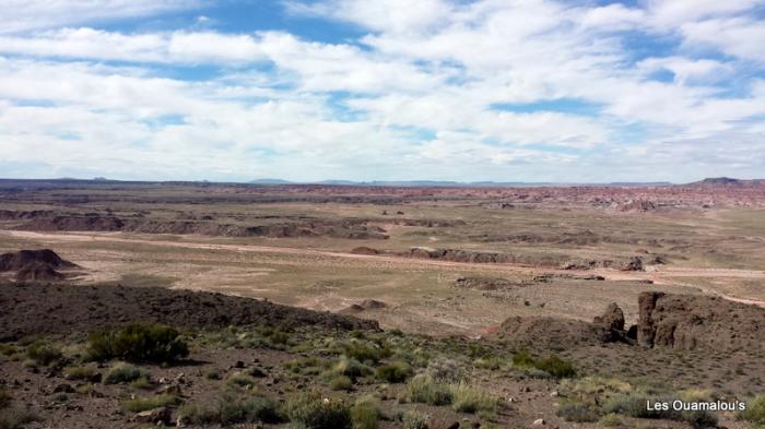 Painted Desert