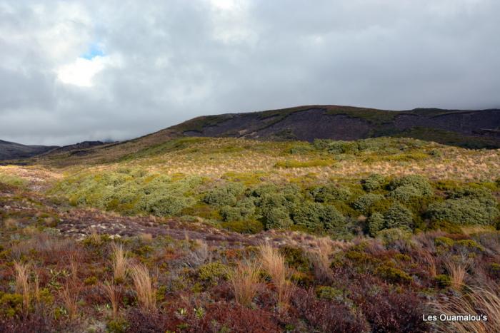 Tongariro National Park