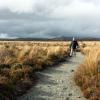 Tongariro National Park