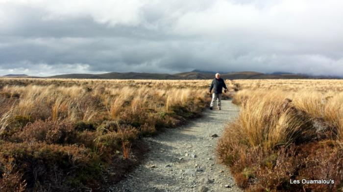 Tongariro National Park