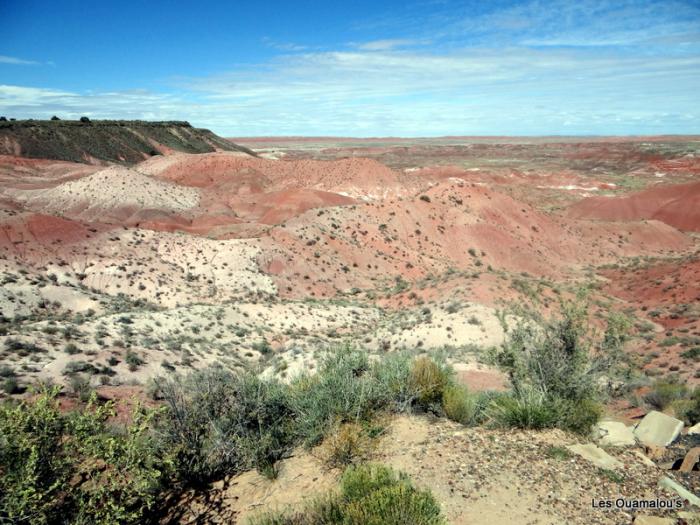 Painted Desert