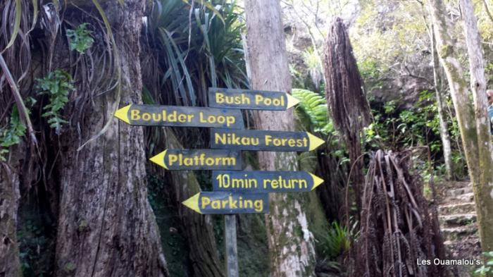 Waikere Boulders