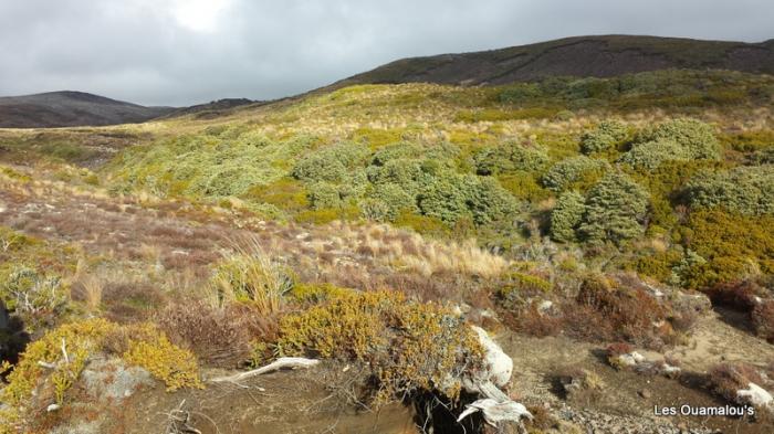 Tongariro National Park