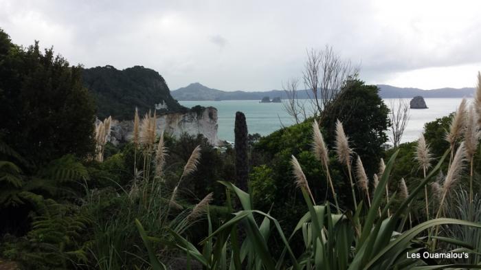 Cathedral Cove