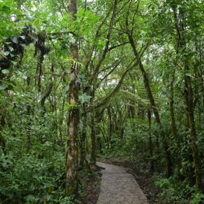 Direction Le Rio Celeste