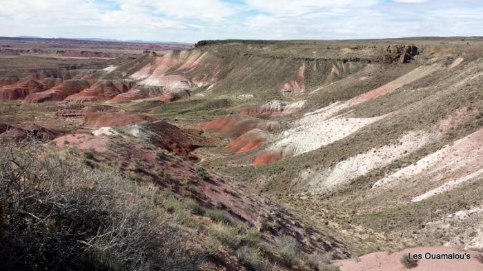 Painted Desert