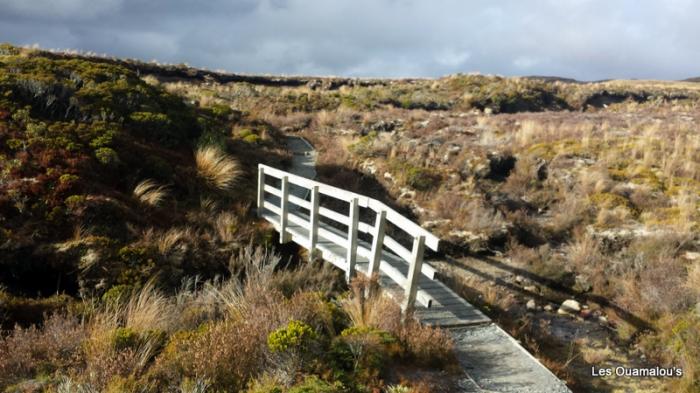 Tongariro National Park