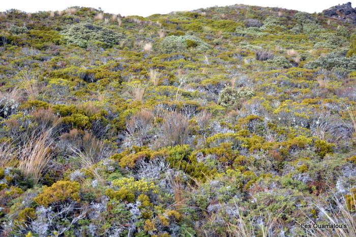 Tongariro National Park