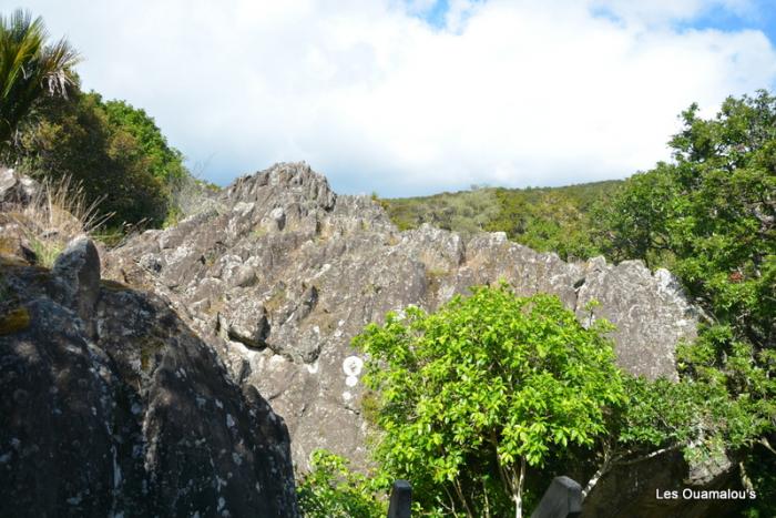 Waikere Boulders