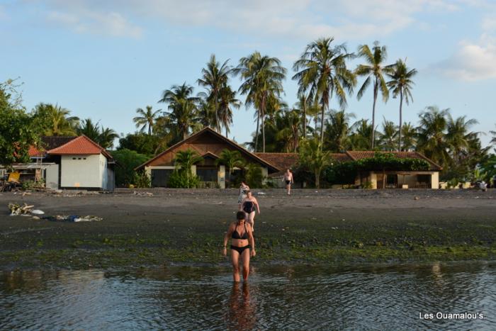 Notre villa à Lovina Beach