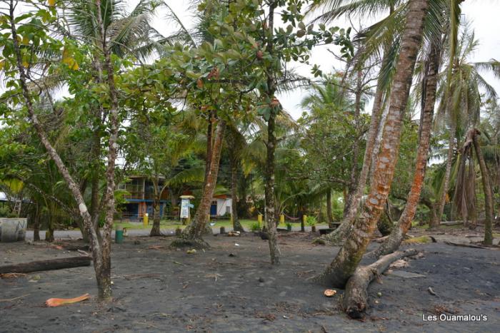 Plage de Puerto Viejo