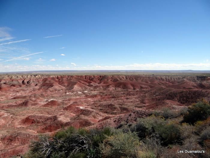 Painted Desert