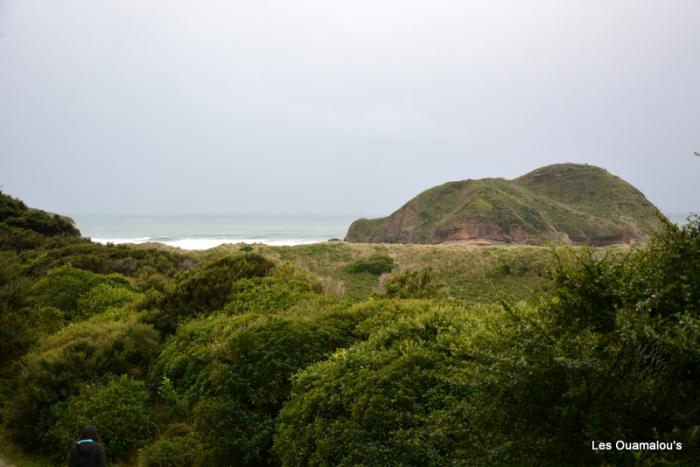 Wharakiri beach