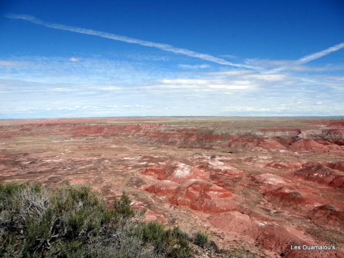 Painted Desert