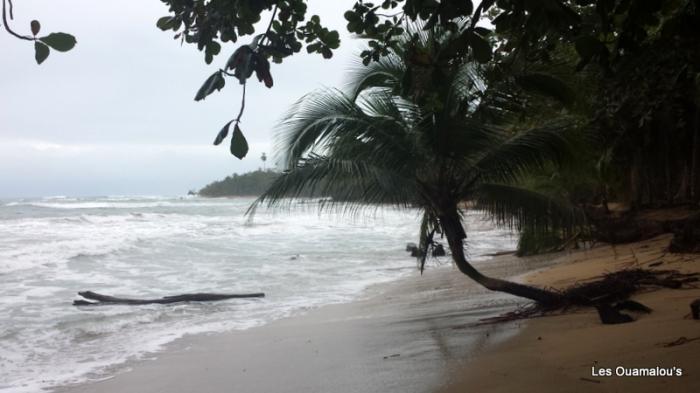 Plage de Puerto Viejo