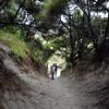 Wharakiri beach