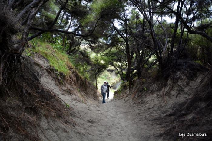 Wharakiri beach