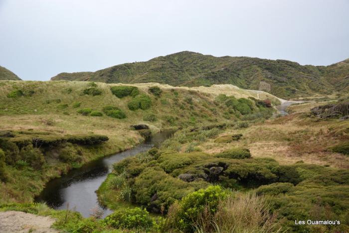 Wharakiri beach