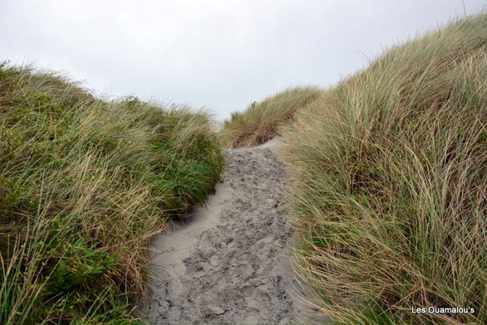 Wharakiri beach