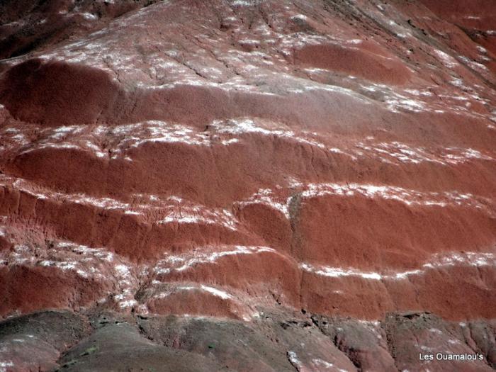 Painted Desert