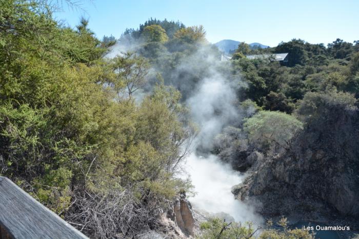 Wai O Tapu