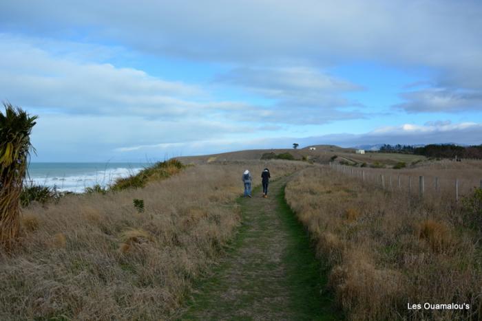 Kaikoura