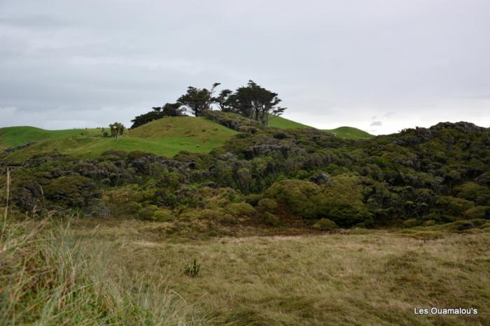 Wharakiri beach