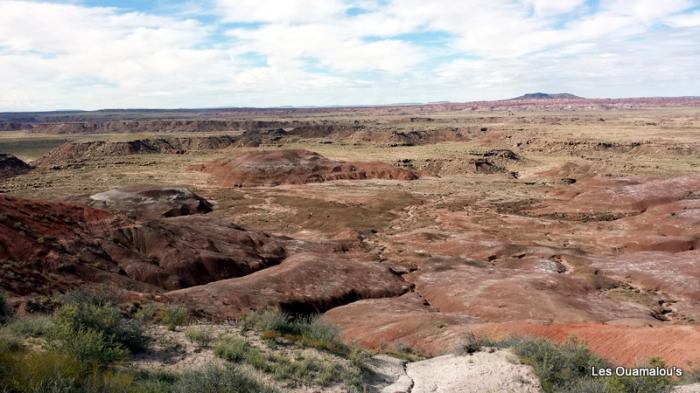 Painted Desert