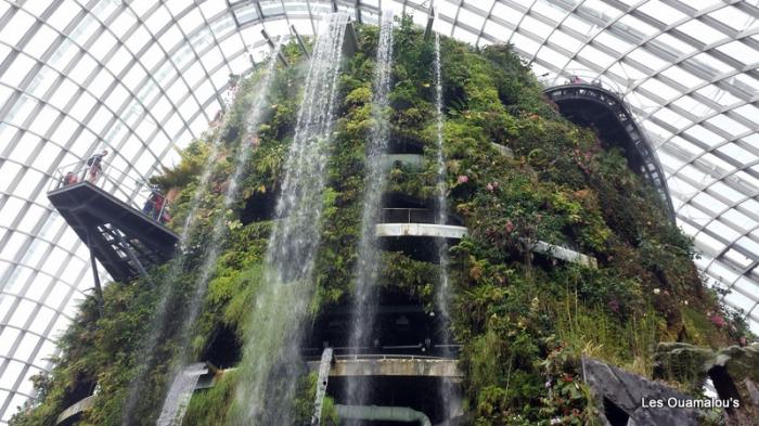 Singapour - Gardens by the Bay