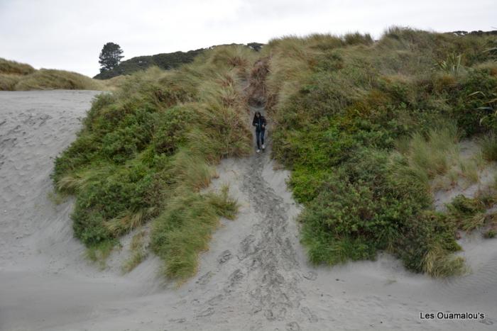 Wharakiri beach