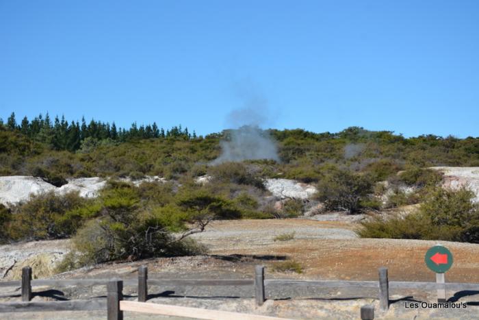 Wai O Tapu