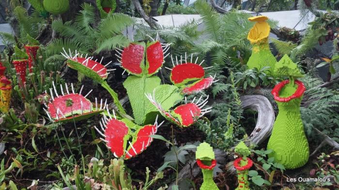 Singapour - Gardens by the Bay