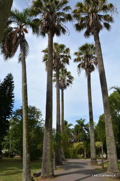 Balade dans le Jardin Botanique