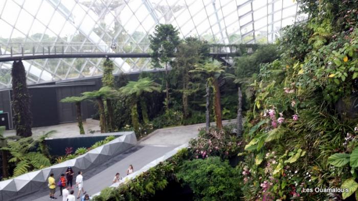 Singapour - Gardens by the Bay